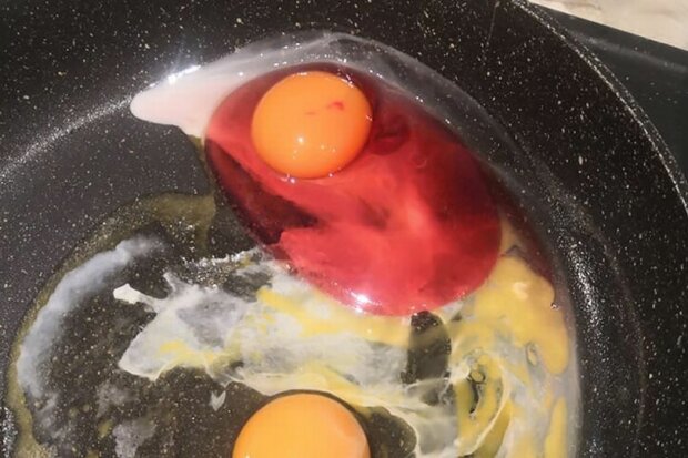 Женщина хотела накормить детей и завизжала на весь дом, на сковородку выпало красное яйцо: "Оттолкнуло на секунду"
