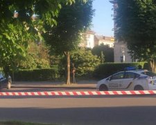 В центре Львова расстреляли девушку со скрипкой: фото