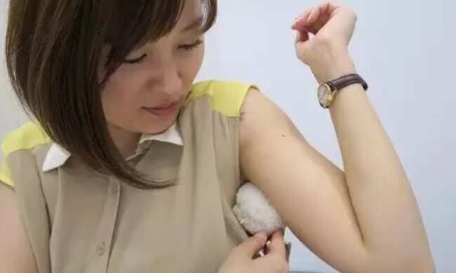 Японський "десерт", скріншот: YouTube