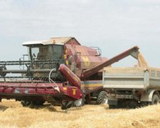 Українці розповіли, як глава Аграрної партії кришує рейдерів