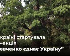 Госэкоинспекция призывает поддержать важную эко-акцию "Шевченко объединяет Украину": высадка дубов в национальных парках и заповедниках