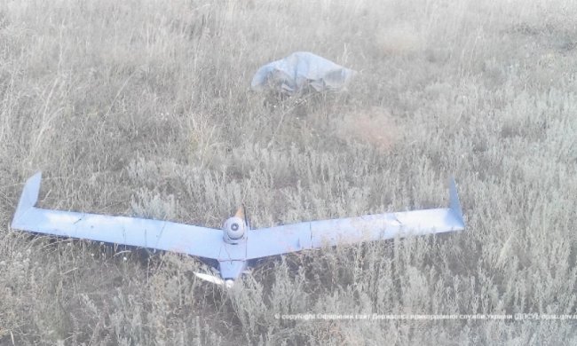 Прикордонники збили російський безпілотник на Луганщині (фото)