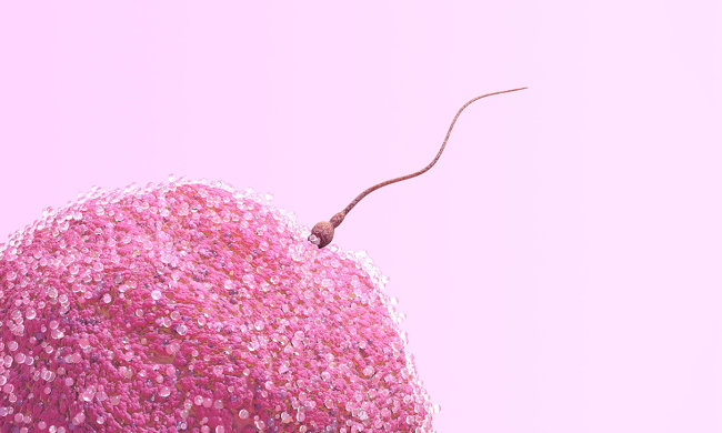 Чоловікам на замітку: які домашні предмети викликають безпліддя