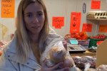 Скрин, видео YouTube цена в Норвегии