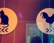 8 найкреативніших громадських туалетів світу
