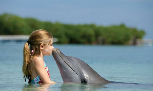 Маленькая девочка показала, как нужно приманивать дельфинов