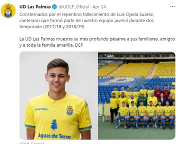 Скриншот: twitter.com/UDLP_Oficial/status