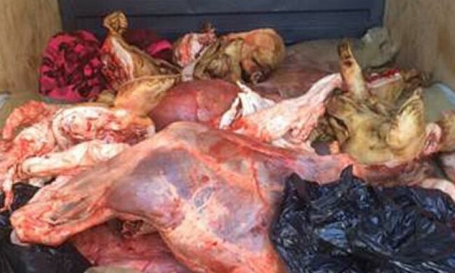 К боевикам не доехало 10 тонн контрабандного мяса (фото)