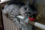 Опалення у Києві ввімкнули буквально декілька днів тому