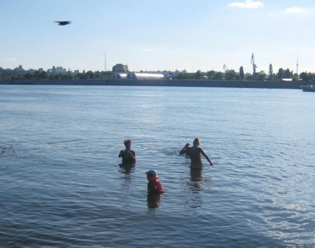 Озеро во Львове превратили в "скотомогильник": кадры экологической катастрофы
