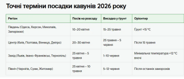 Когда сажать арбузы на рассаду в 2026 году, изображение: roda.com.ua