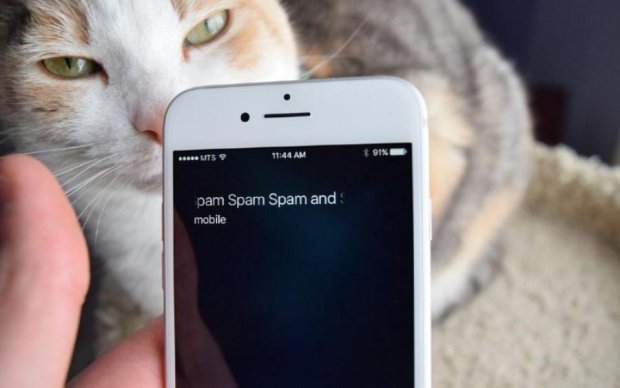 Apple избавит пользователей от спама