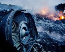 Катастрофа MH17: жертвам трагедії відкриють "живий меморіал"