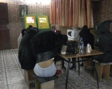 Копи накрили бордель "для гостей Євробачення"