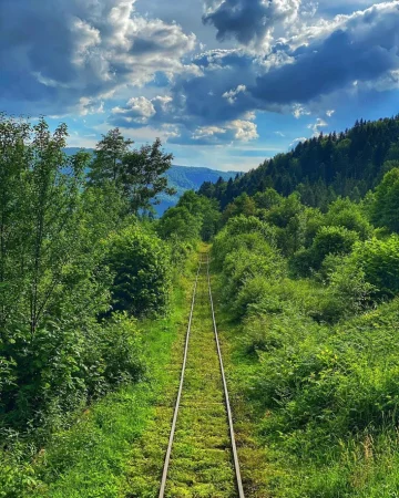 Трамвайная колея, фото: 1 минута