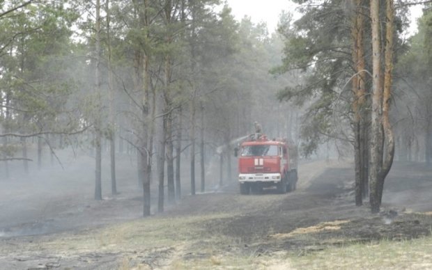 На Херсонщине загорелось несколько гектаров леса