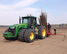 На Київщині посадили найбільшу в Європі плантацію енергетичних рослин