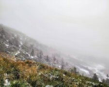 Сніг у Карпатах