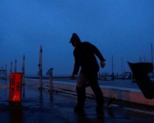 Слідом за ураганом: Техас атакують небезпечні комахи