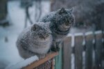 Зима в Харькове застыла в нерешительности 16 января: ни холодно ни жарко
