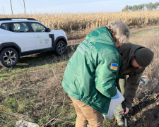 Держекоінспекція