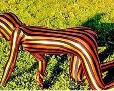 Можно официально бить морду: соцсети отреагировали на запрет колорадской ленты