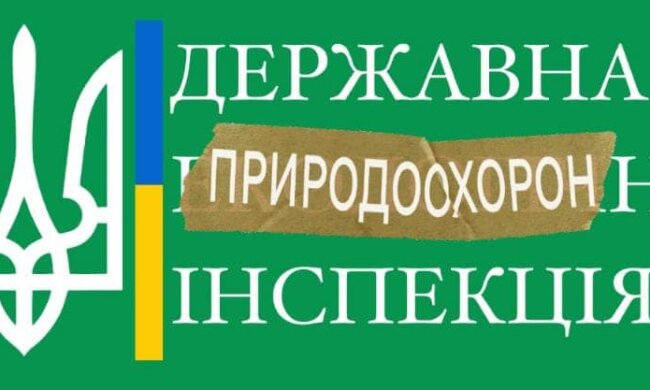 переименование Госэкоинспекции