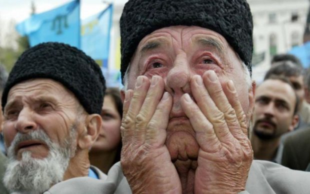 Стало известно, сколько крымских татар пришло на выборы Путина