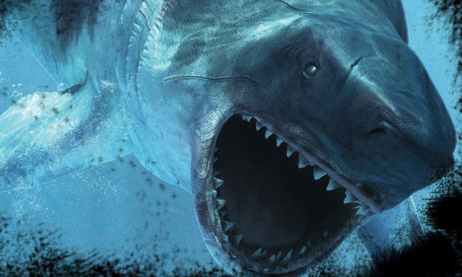 Археологи натрапили на сліди битви стародавньої акули з літаючим монстром