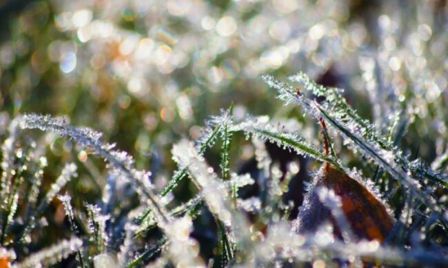 Украинцев снова пугают заморозками
