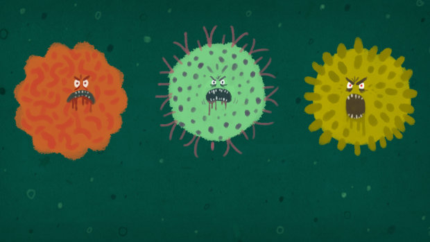 Почти против всех: микробиологи создали универсального "убийцу" вирусов