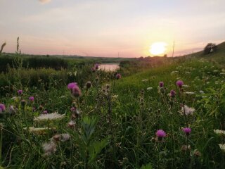 погода в Україні, фото pxhere