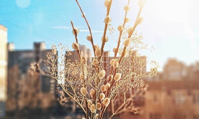 Погода на 8 березня: святковий день принесе цікаві сюрпризи