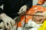 фото: ГСЧС Украины