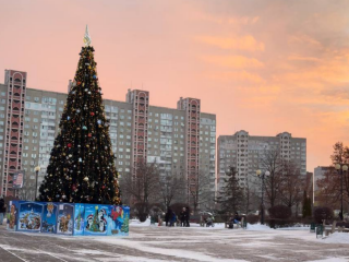 Украинцы, Киев, елка, фото из соцсетей