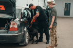 Прикордонник перевіряє документи на виїзд за кордон