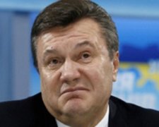 Австрия вернет Украине деньги Януковича