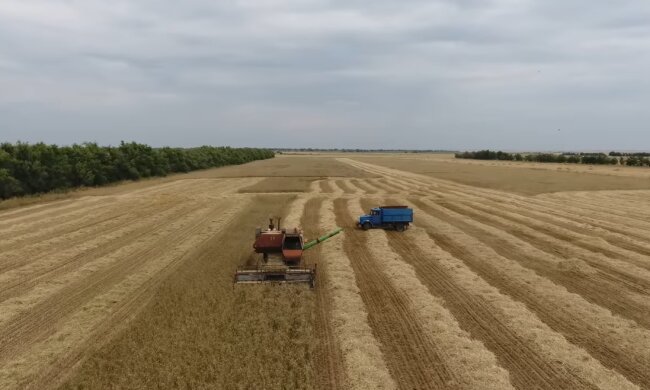 Аграрний сектор, скріншот: YouTube