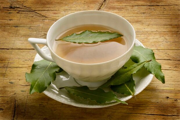 Чай з лавровим листком, фото Fazertag