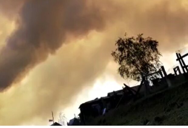 Лесной пожар. Фото: скрин видео