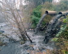 "Рідна країна" рятує водойми Києва