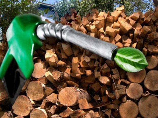 Государственные учреждения переведут на биотопливо