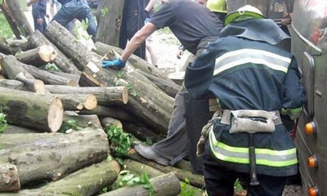 Вітер в Одесі повалив дерева (фото)