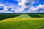 Сельскохозяйственная земля в Украине