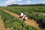 Заробітчани, скріншот із відео