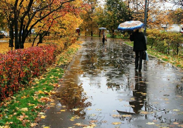 Львів'яни, ховайтеся під парасольки: синоптики вбили надію на прогулянку 4 листопада