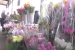 Цветы на 8 марта, кадр из видео