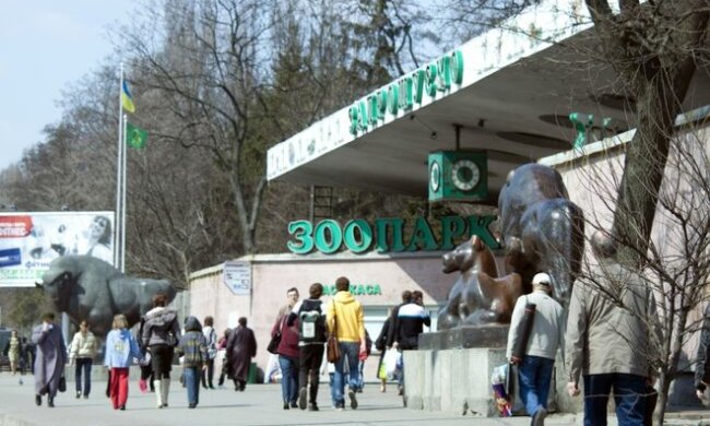 У Київському зоопарку поповнення, відвідувачі у захваті, - "які гарненькі!"