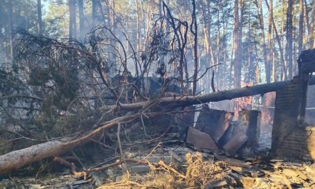 шкода довкіллю на Сумщині