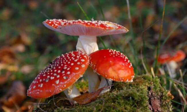 Штучний інтелект отримав шанс вбити людину